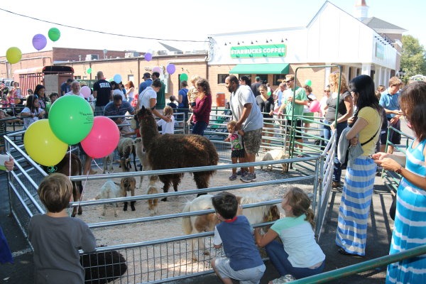 2014 New Providence Downtown Street Fair